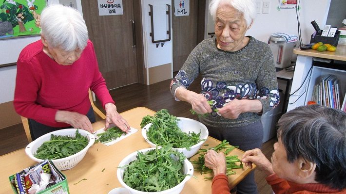 春菊の下準備の様子